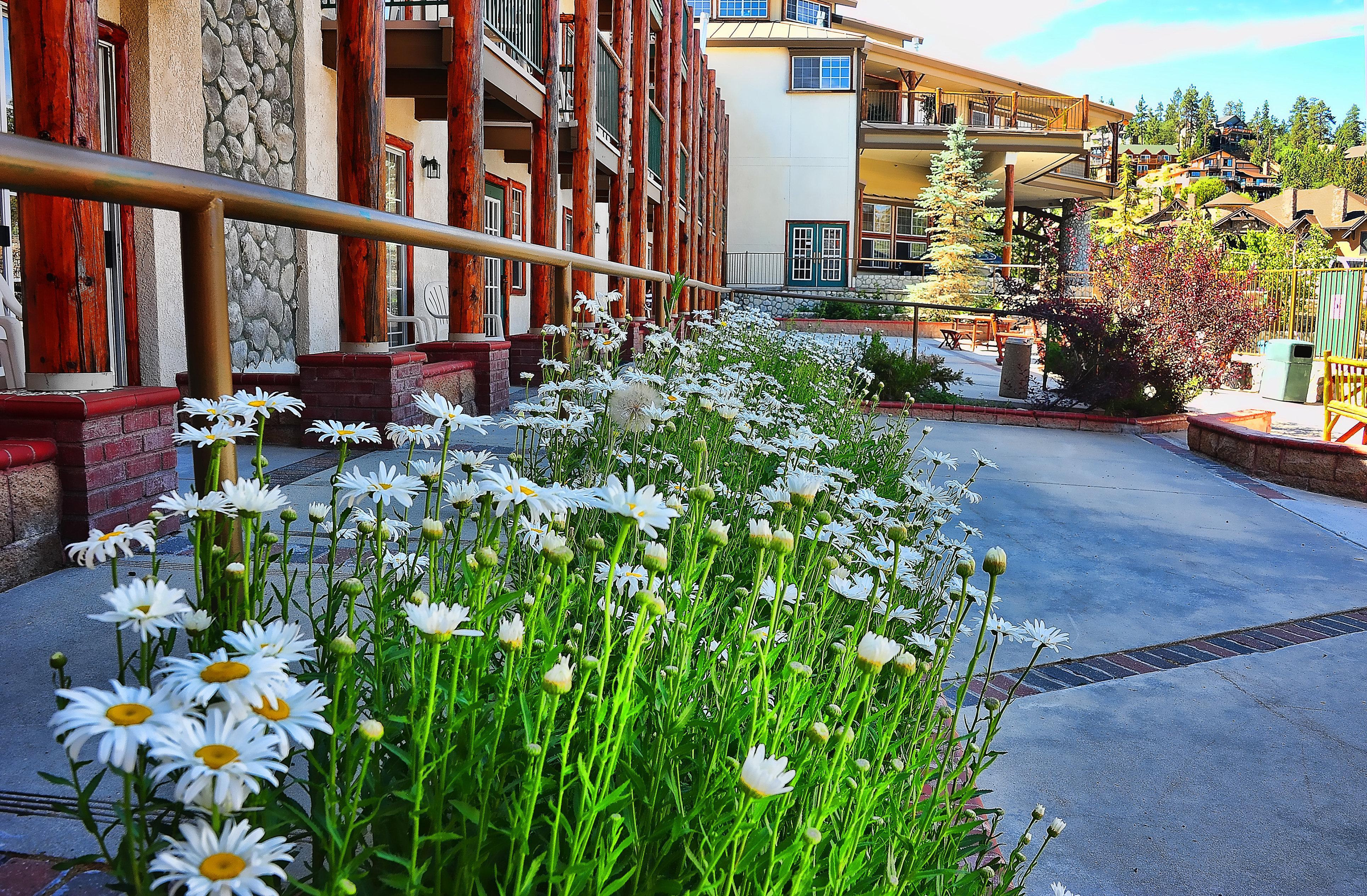Holiday Inn Resort The Lodge At Big Bear Lake By Ihg Exterior photo